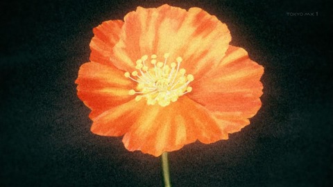 ancb03287