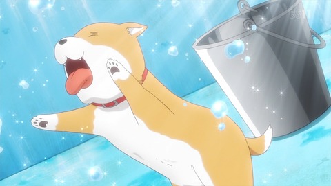 がっこうぐらし 第9話 感想 がっこうぐらしは最高の日常アニ ぎゃあぁぁぁ あにこ便