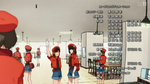 ANCB003176