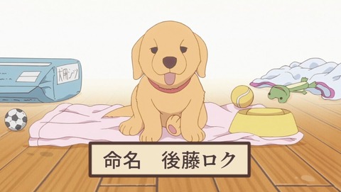 かくしごと 8話 感想 0049