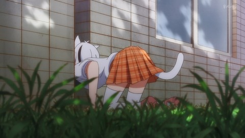 ANCB004187