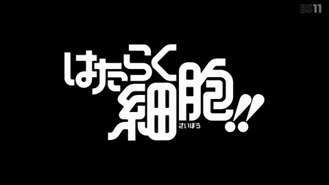 ANCB001826