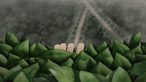 ancb00066