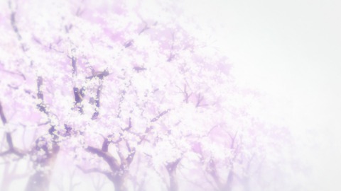 ancb00114