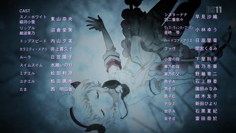 ANCB002675