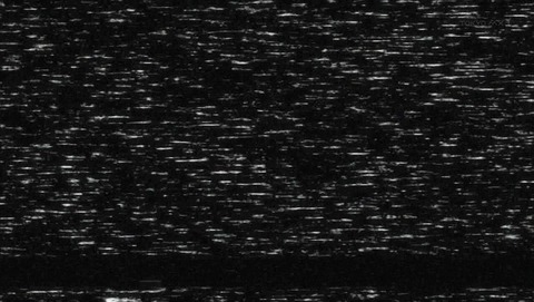 ancb002466