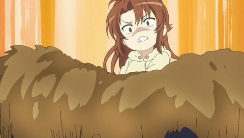 のんのんびより のんすとっぷ 2話 感想 0052