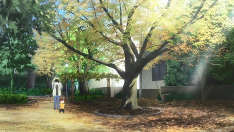 ANCB000243