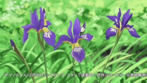 ancb00708