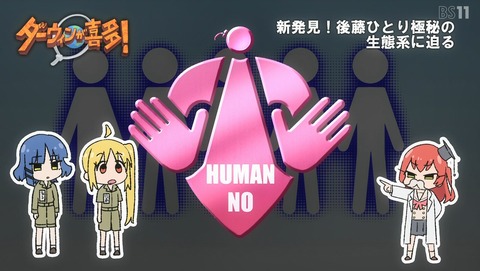 ANCB000244