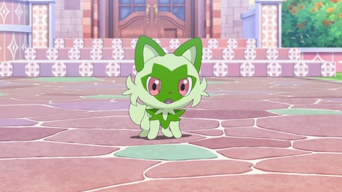 ポケットモンスター 9話 感想 5218