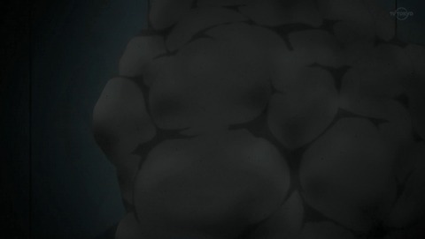 ANCB002064