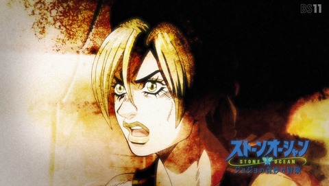 ANCB002223