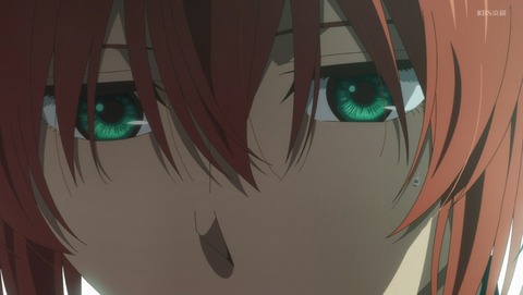 ANCB001125