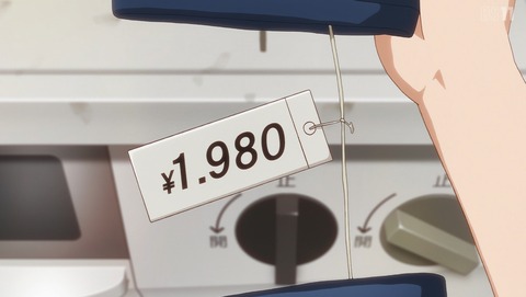 ANCB002529