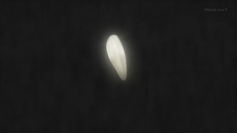 ancb00441