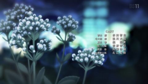 ANCB002541