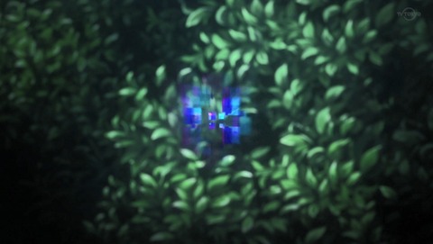 ANCB001012