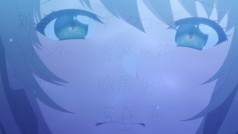 ancb03925