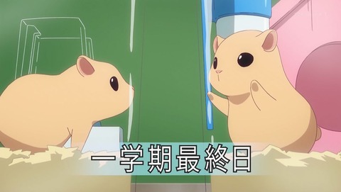 ancb00233