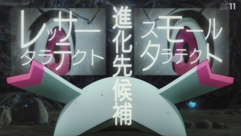 ANCB003016