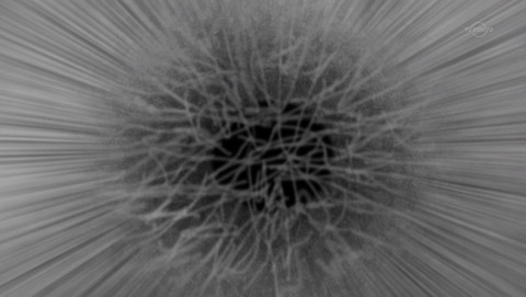 ancb02316