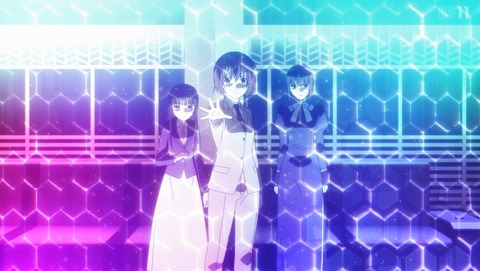 ANCB007135