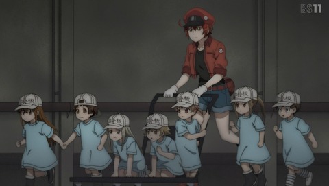 ANCB001426