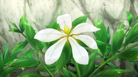 ancb00228
