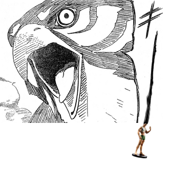 19