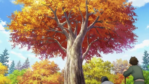 ANCB001623