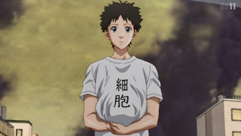 ANCB000978