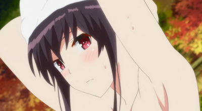 sae (4)