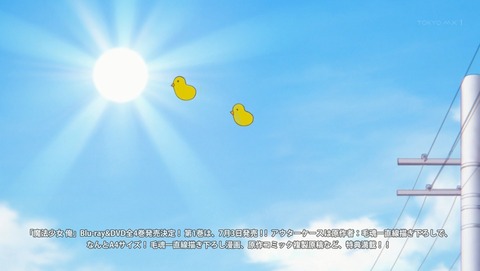 ANCB001563