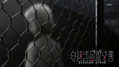 ANCB001409