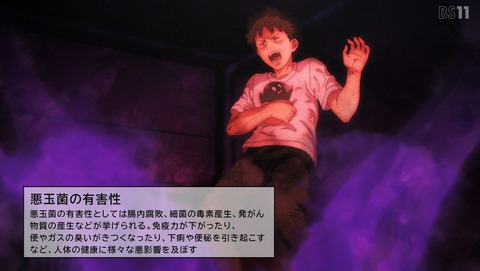ANCB002811