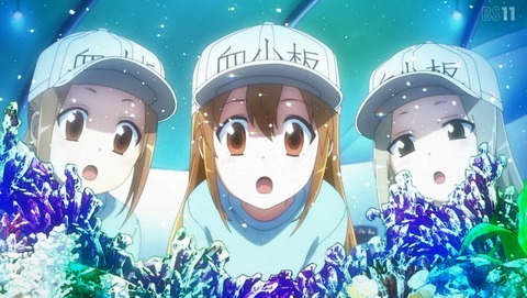 ANCB000501