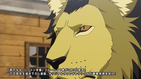 ancb001308