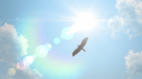 ancb02130