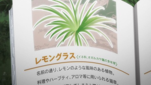 ancb0338