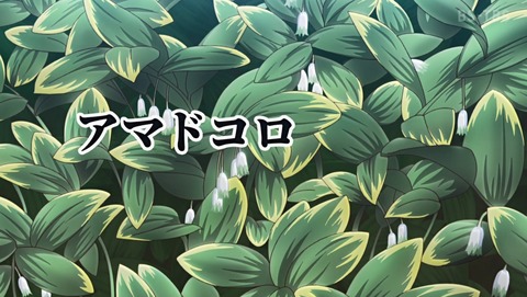 ANCB002189