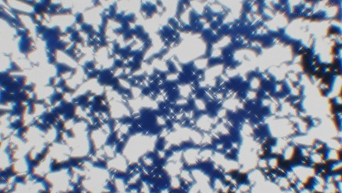 ANCB003166