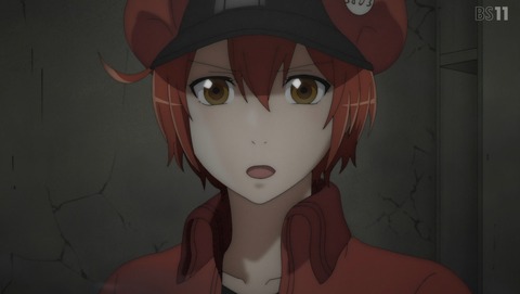 ANCB001535