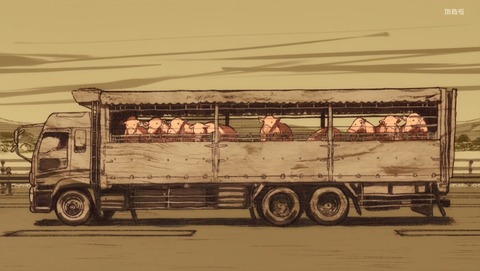 ANCB002851