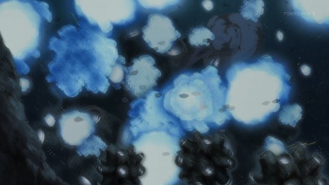 ANCB003082