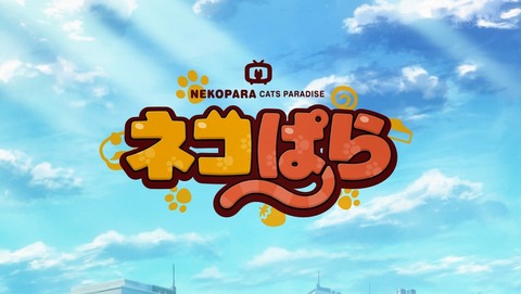 ネコぱら 7話 感想 99