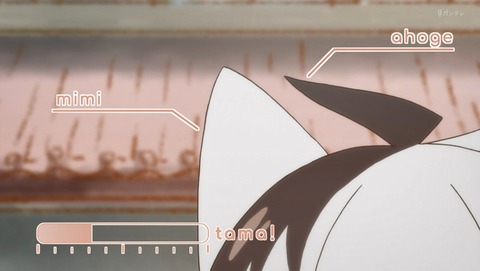 うちタマ?! うちのタマ知りませんか? 9話 感想 51