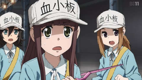ANCB002118