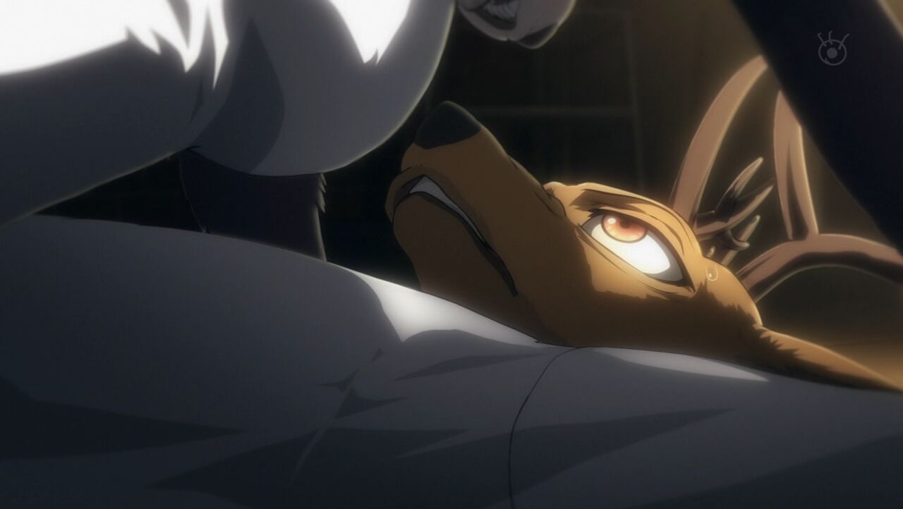 BEASTARS ビースターズ 5匹目