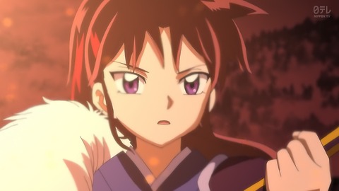 ancb00516